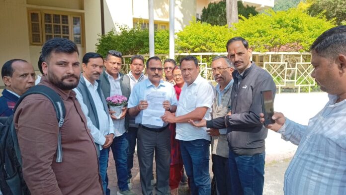 FB_IMG_1761540342260