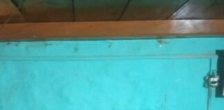 ★. गुलदार ने चार बकरियों को उतारा मौत के घाट , बकरियों को देखने गए व्यक्ति पर भी झपटा गुलदार किया घायल ★. (चन्दन सिंह बिष्ट) स्टार खबर