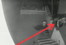 हल्द्वानी: प्रसिद्ध श्री कालू सिद्धि मंदिर में चोरी, चांदी का मुकुट व नकदी पर हाथ साफ ★. मंदिर व्यवस्थापक महंत निरंजन गिरी ने हीरानगर चौकी में अज्ञात के खिलाफ लिखाई रपट (चन्दन सिंह बिष्ट) ‘स्टार खबर”