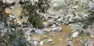 नैनीताल : कैंची धाम मार्ग पर भीषण सड़क हादसा, तीन की मौत रिपोर्ट –(सुनील भारती) “स्टार खबर” नैनीताल