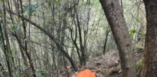 नैनीताल धारी ब्लॉक में तेंदुए का आतंक.. महिला को बनाया शिकार, इलाके में दहशत.. रिपोर्ट- (सुनील भारती ) “स्टार खबर” नैनीताल…