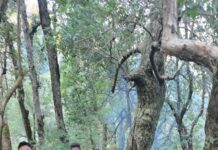 ★. पहाड़पानी में गुलदार का हमला: हेमा देवी की मौत, विधायक राम सिंह कैड़ा पीड़ित परिवार के साथ ★. सूचना मिलते ही विधायक राम सिंह कैड़ा मौके पर पहुंचे, (चन्दन सिंह बिष्ट) “स्टार खबर” पहाडपानी/धारी