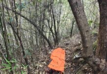 पहाड़पानी : में तेंदुए ने महिला पर बोला हमला, महिला की मौत के बाद गांव में दहशत ★. दीनी तल्ली में जंगल जाना बना जानलेवा, वन विभाग से नाराज ग्रामीण (चन्दन सिंह बिष्ट) “स्टार खबर” पहाडपानी / धारी