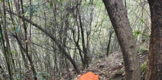 पहाड़पानी : में तेंदुए ने महिला पर बोला हमला, महिला की मौत के बाद गांव में दहशत ★. दीनी तल्ली में जंगल जाना बना जानलेवा, वन विभाग से नाराज ग्रामीण (चन्दन सिंह बिष्ट) “स्टार खबर” पहाडपानी / धारी