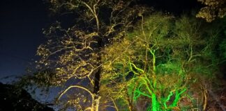 नए साल की तैयारी में दुल्हन की तरह सजा नैनीताल रिपोर्ट: सुनील भारती | स्टार खबर, नैनीताल