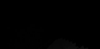 नैनीताल एसएसपी आवास में लगी आग, दमकल ने समय रहते पाया काबू.. रिपोर्ट- (सुनील भारती) “स्टार खबर” नैनीताल..