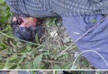 ★. पहाड़पानी के बाद अब गुलदार ने ओखलकांडा चमोली की महिला को बनाया अपना निवाला ★. गुलदार के दोबारा हमले से दहशत, ब्लॉक प्रमुख के निर्देश पर वन विभाग अलर्ट , ओखलकांडा में गुलदार का आतंक बरकरार, (चन्दन सिंह बिष्ट) “स्टार खबर” ओखलकांडा (भीमताल)