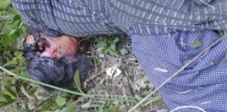 ★. पहाड़पानी के बाद अब गुलदार ने ओखलकांडा चमोली की महिला को बनाया अपना निवाला ★. गुलदार के दोबारा हमले से दहशत, ब्लॉक प्रमुख के निर्देश पर वन विभाग अलर्ट , ओखलकांडा में गुलदार का आतंक बरकरार, (चन्दन सिंह बिष्ट) “स्टार खबर” ओखलकांडा (भीमताल)