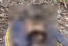 ★. हल्द्वानी: जंगल में शव मिलने से क्षेत्र में मचा हड़कंप ★. गौलापार जगतपुर जंगल में मिली लाश, पुलिस जांच में जुटी (चन्दन सिंह बिष्ट) “स्टार खबर” हल्द्वानी, गौलापार