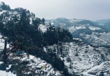 रामगढ़–मुक्तेश्वर की पहाड़ियों पर साल की पहली बर्फबारी… नैनीताल में उमड़े पर्यटक; मार्गों पर लगा जाम.. रिपोर्ट- (सुनील भारती) “स्टार खबर” नैनीताल..