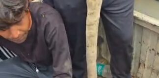 ★. नैनीताल में गुलदार की दहाड़ बरकरार, फिर एक महिला को गुलदार ने बनाया अपना निवाला ★. लकड़ी लेने पास के जंगल में गई थी महिला गुलदार ने उतारा मौत के घाट (चन्दन सिंह बिष्ट) “स्टार खबर” नैनीताल