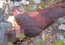 ★. भीमताल विधानसभा में जंगल गई बुजुर्ग महिला की वन्यजीव हमले में मौत, इलाके में दहशत ★. घास काटने गई 60 वर्षीय महिला को जंगली जानवर ने बनाया निशाना, जंगल से मिला शव, भीमताल में ही हो पोस्टमार्टम विधायक- कैड़ा ★. (चन्दन सिंह बिष्ट) “स्टार खबर” भीमताल।