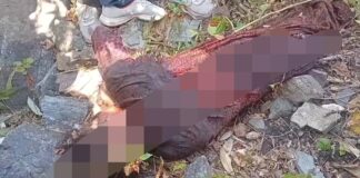 ★. भीमताल विधानसभा में जंगल गई बुजुर्ग महिला की वन्यजीव हमले में मौत, इलाके में दहशत ★. घास काटने गई 60 वर्षीय महिला को जंगली जानवर ने बनाया निशाना, जंगल से मिला शव, भीमताल में ही हो पोस्टमार्टम विधायक- कैड़ा ★. (चन्दन सिंह बिष्ट) “स्टार खबर” भीमताल।