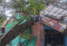 नैनीताल टेंट हाउस के ऊपर गिरा विशालकाय पेड़.. राहत बचाव शुरू.. जनता की मांग को अनदेखा करना पड़ा भारी.. रिपोर्ट- (चंदन सिंह बिष्ट ) “स्टार खबर” नैनीताल..