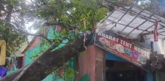 नैनीताल टेंट हाउस के ऊपर गिरा विशालकाय पेड़.. राहत बचाव शुरू.. जनता की मांग को अनदेखा करना पड़ा भारी.. रिपोर्ट- (चंदन सिंह बिष्ट ) “स्टार खबर” नैनीताल..