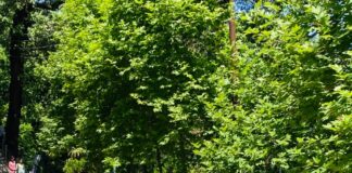 डीएसबी परिसर में एंटी ड्रग रैली व व्याख्यान आयोजित… विद्यार्थियों ने ली नशामुक्ति की शपथ… रिपोर्ट- (सुनील भारती ) “स्टार खबर” नैनीताल..