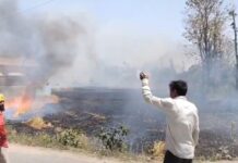 क्या लापरवाही से जल गई 12 बीघा तैयार फसल.. लेकिन फिर भी नहीं पहुंचे अधिकारी…किसान किसे सुनाए अपना दुखड़ा… रिपोर्ट- (चंदन सिंह बिष्ट ) “स्टार खबर” नैनीताल..