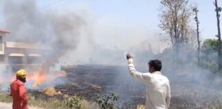 क्या लापरवाही से जल गई 12 बीघा तैयार फसल.. लेकिन फिर भी नहीं पहुंचे अधिकारी…किसान किसे सुनाए अपना दुखड़ा… रिपोर्ट- (चंदन सिंह बिष्ट ) “स्टार खबर” नैनीताल..