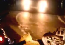 खुटानी हाईवे पर दहशत.. बाइक से टकराया गुलदार, चेन में फंसा, घंटों जाम… रिपोर्ट- (सुनील भारती ) “स्टार खबर” नैनीताल..