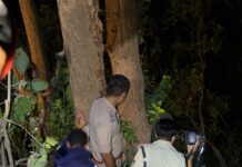 नैनीताल खुर्पाताल रोड पर टेम्पो ट्रैवलर खाई में गिरी, दो महिलाओं की मौत, 21 घायल… देखें पूरा वीडियो..रिपोर्ट- (सुनील भारती ) “स्टार खबर ” नैनीताल…