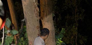 नैनीताल खुर्पाताल रोड पर टेम्पो ट्रैवलर खाई में गिरी, दो महिलाओं की मौत, 21 घायल… देखें पूरा वीडियो..रिपोर्ट- (सुनील भारती ) “स्टार खबर ” नैनीताल…