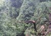 नैनीताल तेज हवा और मूसलाधार बारिश से नैनीताल में यातायात प्रभावित, ताकुला और पंगोट रोड पर गिरे पेड़… प्रशासन ने शुरू कराया पेड़ हटाने का कार्य, वीकेंड पर पर्यटकों की भारी भीड़ से बढ़ी परेशानी.. रिपोर्ट- (सुनील भारती ) “स्टार खबर” नैनीताल..
