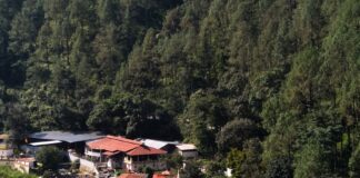 कैंची धाम महोत्सव: श्रद्धालुओं की सुविधा के लिए व्यापक इंतजाम, यातायात मार्गों पर स्टॉल और भंडारे रहेंगे प्रतिबंधित… रिपोर्ट- (ब्यूरो) “स्टार खबर” नैनीताल..