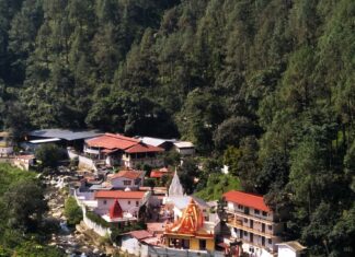 कैंची धाम महोत्सव: श्रद्धालुओं की सुविधा के लिए व्यापक इंतजाम, यातायात मार्गों पर स्टॉल और भंडारे रहेंगे प्रतिबंधित… रिपोर्ट- (ब्यूरो) “स्टार खबर” नैनीताल..