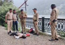 नैनीझील में फिर मिला युवक का शव, क्षेत्र में फैली सनसनी.. ठंडी सड़क स्थित पाषाण देवी मंदिर के समीप झील में तैरता मिला शव, लापता युवक की हुई पहचान… रिपोर्ट- (सुनील भारती) “स्टार खबर” नैनीताल…