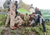 वन महोत्सव के तहत नारायण नगर चारखेत में हुआ पौधरोपण… जिला विधिक सेवा प्राधिकरण और वन विभाग ने पर्यावरण संरक्षण का दिया संदेश… रिपोर्ट- (सुनील भारती ) “स्टार खबर ” नैनीताल…