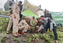 वन महोत्सव के तहत नारायण नगर चारखेत में हुआ पौधरोपण… जिला विधिक सेवा प्राधिकरण और वन विभाग ने पर्यावरण संरक्षण का दिया संदेश… रिपोर्ट- (सुनील भारती ) “स्टार खबर ” नैनीताल…