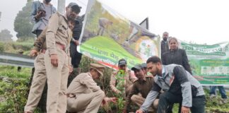 वन महोत्सव के तहत नारायण नगर चारखेत में हुआ पौधरोपण… जिला विधिक सेवा प्राधिकरण और वन विभाग ने पर्यावरण संरक्षण का दिया संदेश… रिपोर्ट- (सुनील भारती ) “स्टार खबर ” नैनीताल…