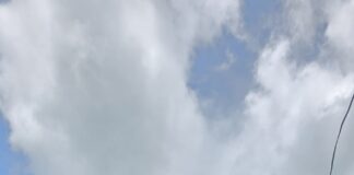 ‘मां के नाम एक पेड़’ अभियान के तहत भवाली में सामूहिक पौधारोपण, कारगिल शहीदों को दी श्रद्धांजलि…. रिपोर्ट- (सुनील भारती ) “स्टार खबर ” नैनीताल…