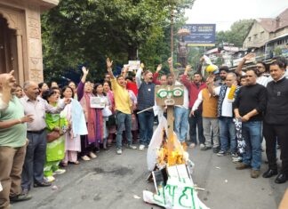 टोल टैक्स के विरोध में भाजपा का पालिका पर हमला, पुतला फूंका.. स्थानीय लोगों से वसूली बंद करने और टेंडर रद्द करने की मांग, निर्णय वापस न होने पर कोर्ट जाने की चेतावनी… रिपोर्ट- (सुनील भारती ) “स्टार खबर ” नैनीताल..