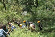 ज्योलीकोट के पास 40 मीटर गहरी खाई में गिरी टवेरा, चालक समेत दो गंभीर… रिपोर्ट- (सुनील भारती ) “स्टार खबर” नैनीताल..