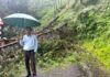 पेड़ गिरने से नैनीताल-हल्द्वानी हाईवे घंटों बाधित, जाम में फंसे कुमाऊं आयुक्त…. रिपोर्ट- (सुनील भारती ) “स्टार खबर ” नैनीताल…