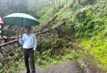 पेड़ गिरने से नैनीताल-हल्द्वानी हाईवे घंटों बाधित, जाम में फंसे कुमाऊं आयुक्त…. रिपोर्ट- (सुनील भारती ) “स्टार खबर ” नैनीताल…