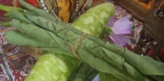 संक्रांति: पहाड़ की प्रकृति, खेती और लोकपरंपराओं से जुड़ा अनूठा पर्व… विशेष- (राजीव पांडे ) खीमदा “स्टार खबर” नैनीताल..