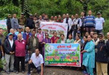 हनुमानगढ़ी के चील चक्कर मोड़ पर पेंशनरों ने रोपे 120 से अधिक पौध.. रिपोर्ट – (सुनील भारती ) “स्टार खबर” नैनीताल..
