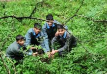 टांकी बैंड में सीआरएसटी इंटर कॉलेज के छात्रों ने किया पौधरोपण… रिपोर्ट- (सुनील भारती) “स्टार खबर” नैनीताल..