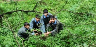 टांकी बैंड में सीआरएसटी इंटर कॉलेज के छात्रों ने किया पौधरोपण… रिपोर्ट- (सुनील भारती) “स्टार खबर” नैनीताल..
