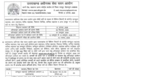 UKSSSC भर्ती: समूह ‘ग’ के 553 पदों पर निकली सीधी भर्ती, आठ सितंबर से आवेदन…. रिपोर्ट- (ब्यूरो) “स्टार खबर ” नैनीताल…