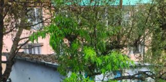 तेज बारिश के बाद नैनी झील में पहुंचा प्लास्टिक कचरा, नासा ने चलाया सफाई अभियान… रिपोर्ट- (सुनील भारती ) “स्टार खबर ” नैनीताल…