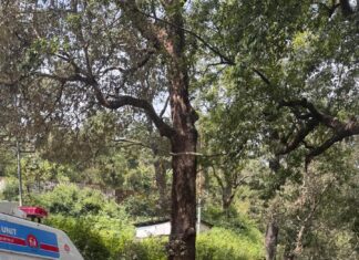 ज्योलिकोट में स्वास्थ्य विभाग का अभियान जारी.. बेलवाखान, मनोरा व तल्ला चोपड़ा में लगे शिविर, 127 लोगों की जांच; 38 के लिए गए रक्त नमूने… रिपोर्ट- (सुनील भारती ) “स्टार खबर ” नैनीताल..
